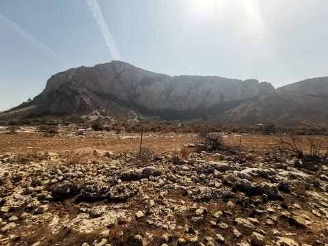 Terreno Agricolo in Vendita a Custonaci (Trapani)