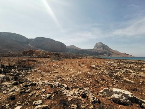 Terreno Agricolo in Vendita a Custonaci (Trapani)