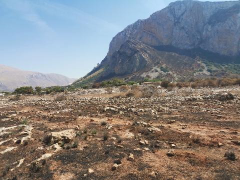 Terreno Agricolo in Vendita a Custonaci (Trapani)