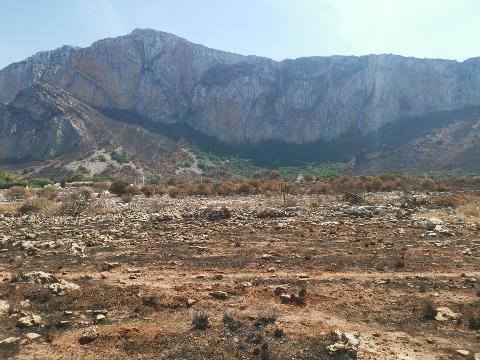 Terreno Agricolo in Vendita a Custonaci (Trapani)