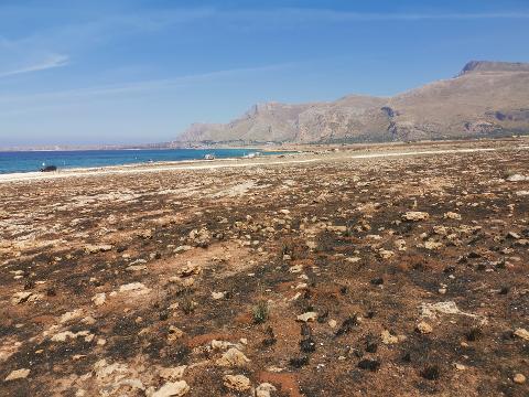 Terreno Agricolo in Vendita a Custonaci (Trapani)