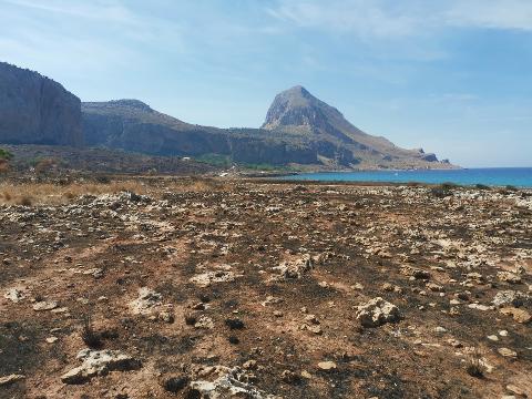 Terreno Agricolo in Vendita a Custonaci (Trapani)