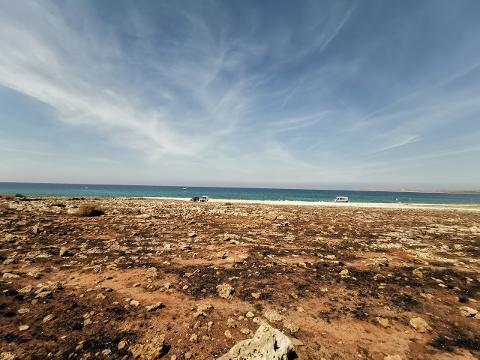 Terreno Agricolo in Vendita a Custonaci (Trapani)