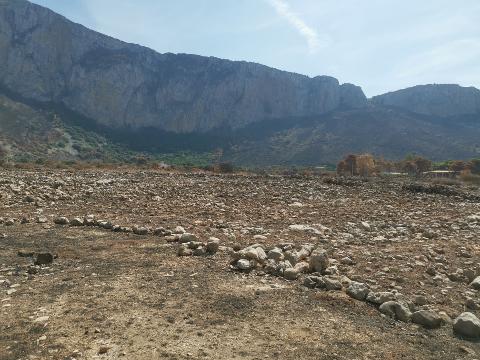 Terreno Agricolo in Vendita a Custonaci (Trapani)
