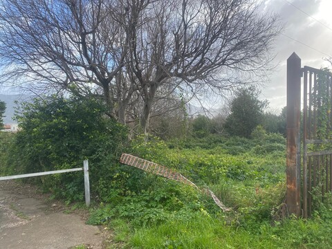 Terreno Agricolo in Vendita a Palermo Tommaso Natale