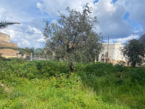 Terreno Edificabile in Vendita a Palermo Sferracavallo