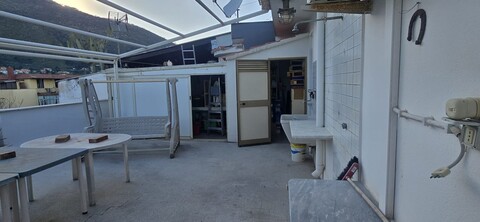 Appartamento in Vendita a Palermo Cardillo