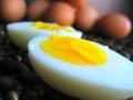 Regole alimentazione sana e sportiva e tecniche di allenamento - raccolta articoli