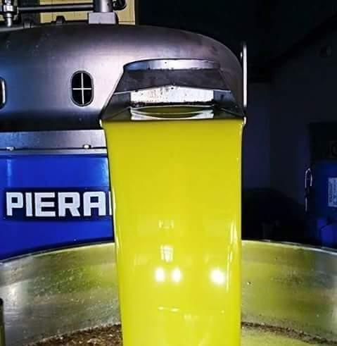 Messa a riposo post campagna