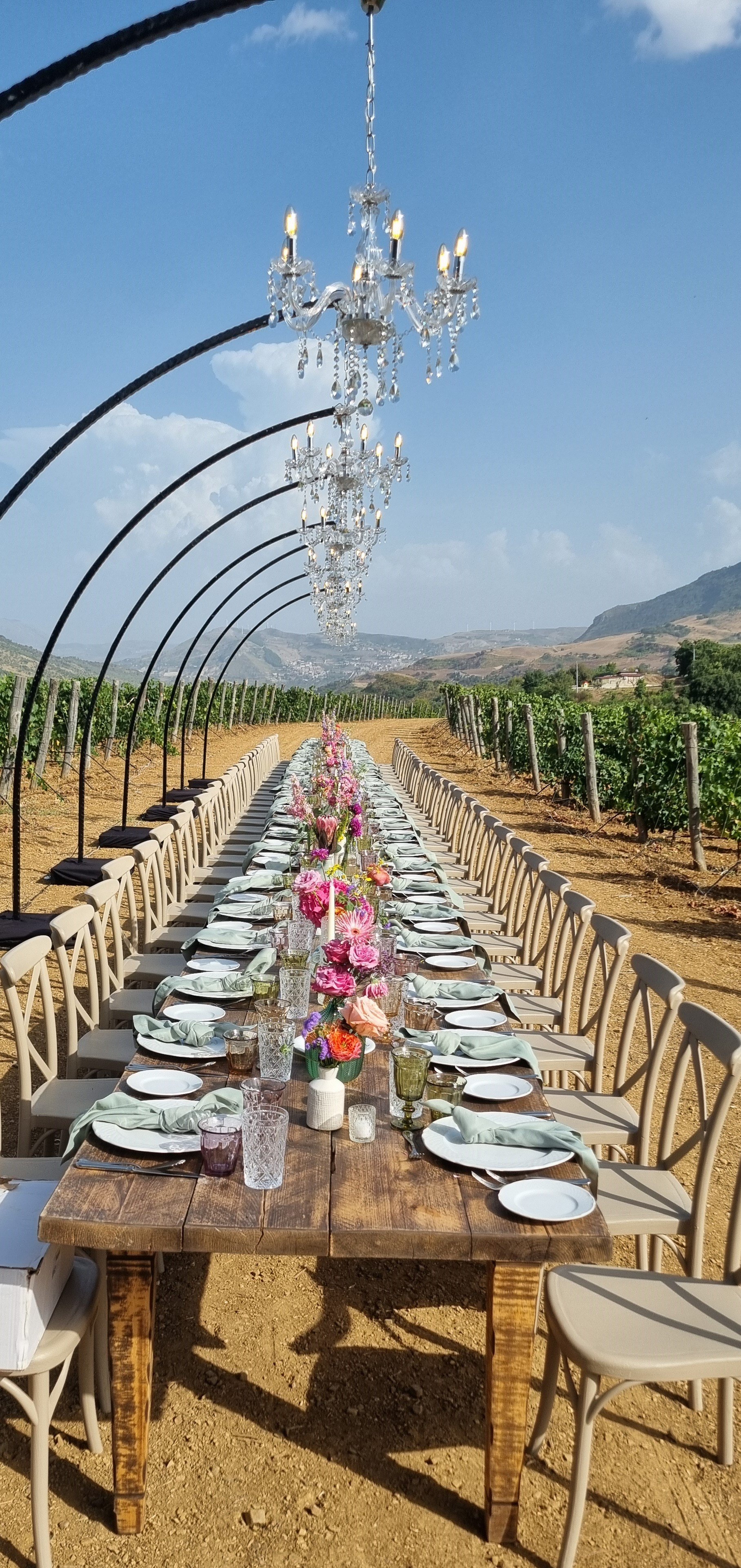 LAMPADARIO CRISTALLO CANDELIERE SOSPENSIONE PIANTANA Luminarie Matrimonio
