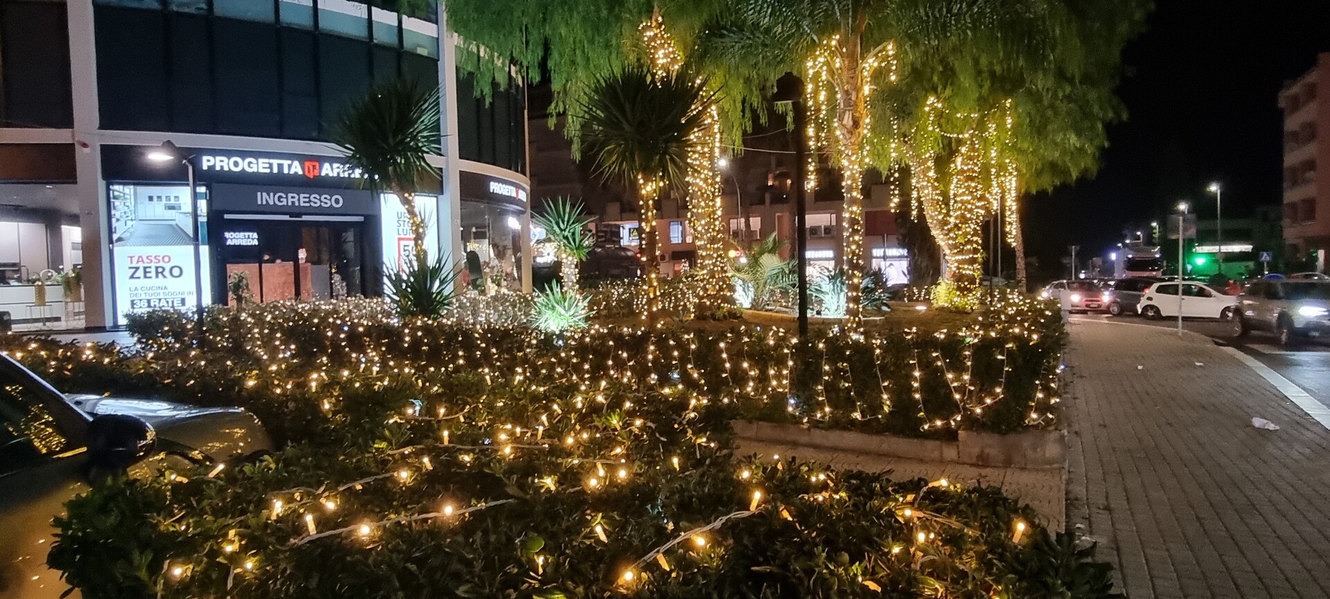 ALBERI MINILUCCIOLE PALME SIEPE Luminarie Natalizie Generico