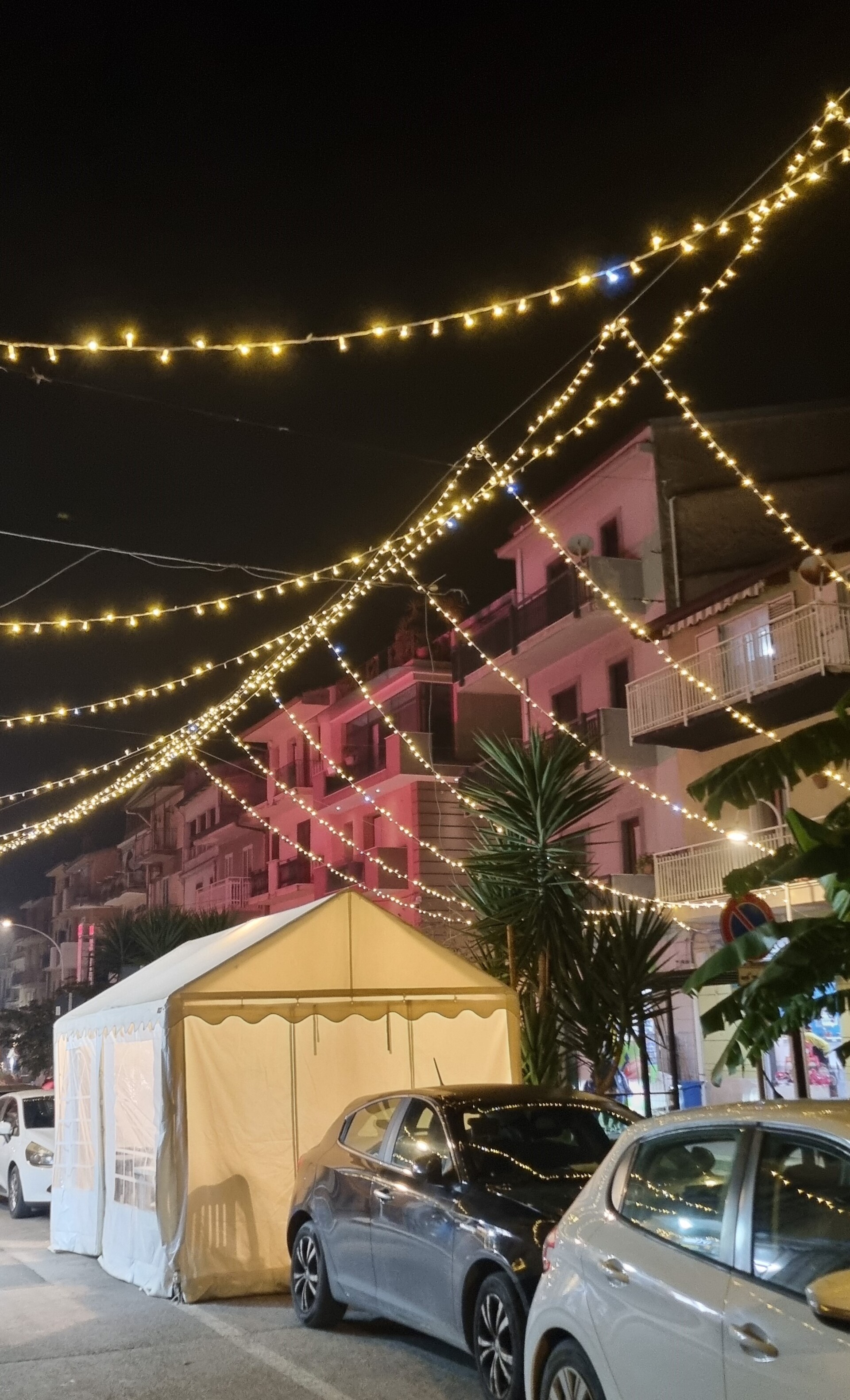 CIELO STELLATO EFFETTO PAGODA Luminarie Natalizie per Strade