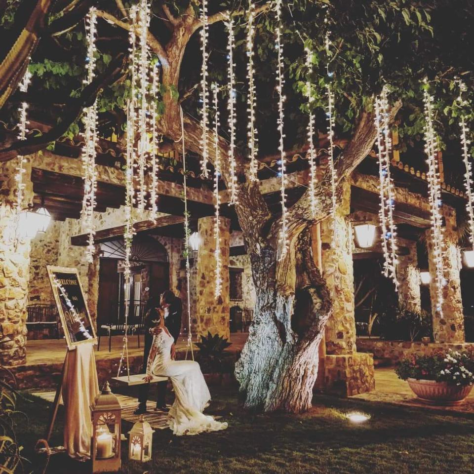 PALMA LUMINOSA LUCI PENDENTI Luminarie Matrimonio