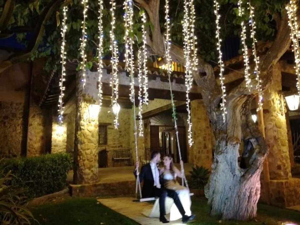 PALMA LUMINOSA LUCI PENDENTI Luminarie Matrimonio