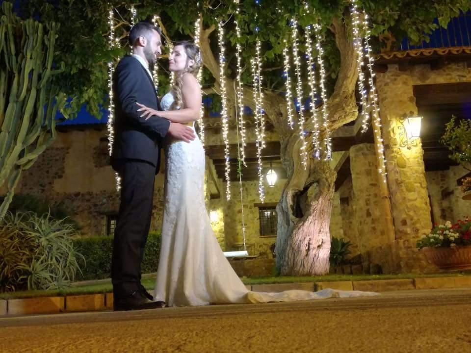 PALMA LUMINOSA LUCI PENDENTI Luminarie Matrimonio