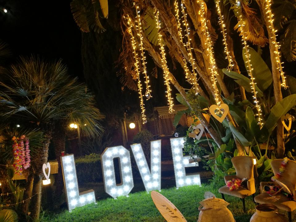 PALMA LUMINOSA LUCI PENDENTI Luminarie Matrimonio