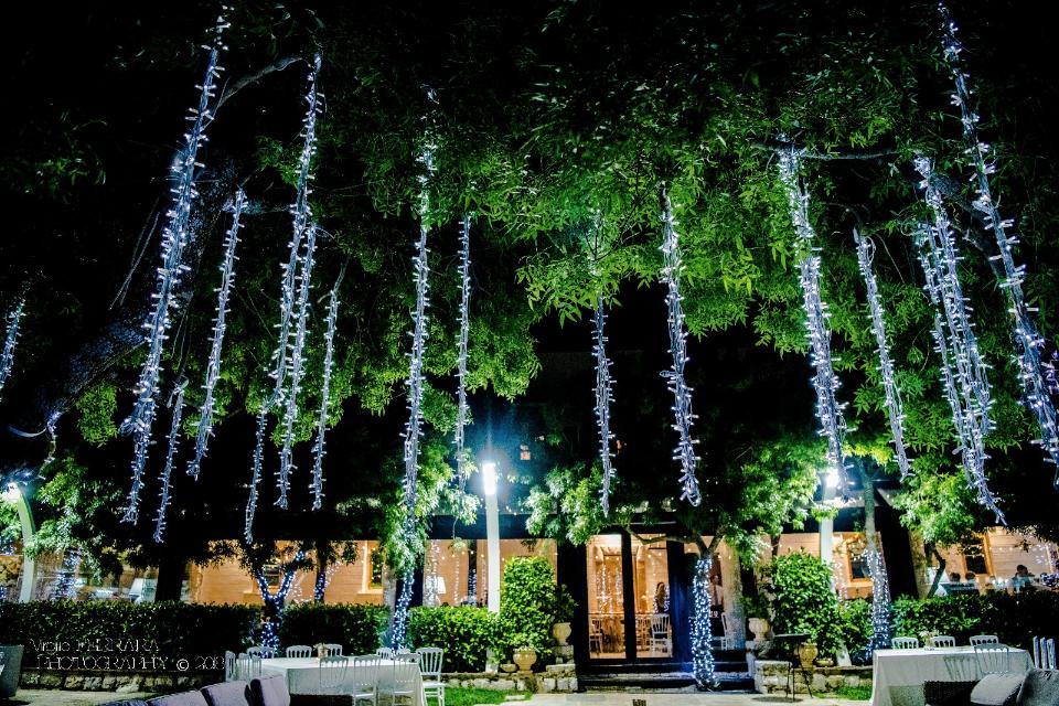 PALMA LUMINOSA LUCI PENDENTI Luminarie Matrimonio