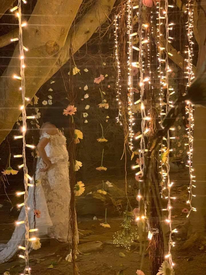 PALMA LUMINOSA LUCI PENDENTI Luminarie Matrimonio