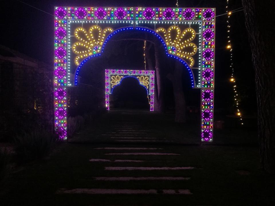 ARCO LUMINOSO FLOWERS 550 Luminarie Matrimonio