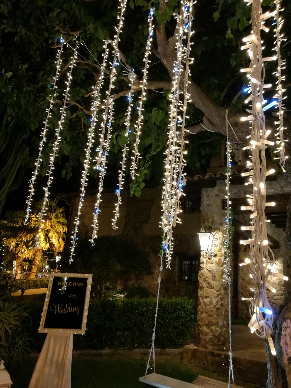 PALMA LUMINOSA LUCI PENDENTI Luminarie Matrimonio