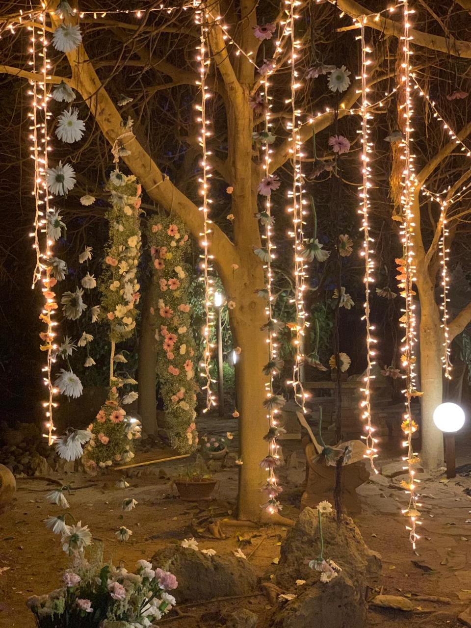PALMA LUMINOSA LUCI PENDENTI Luminarie Matrimonio