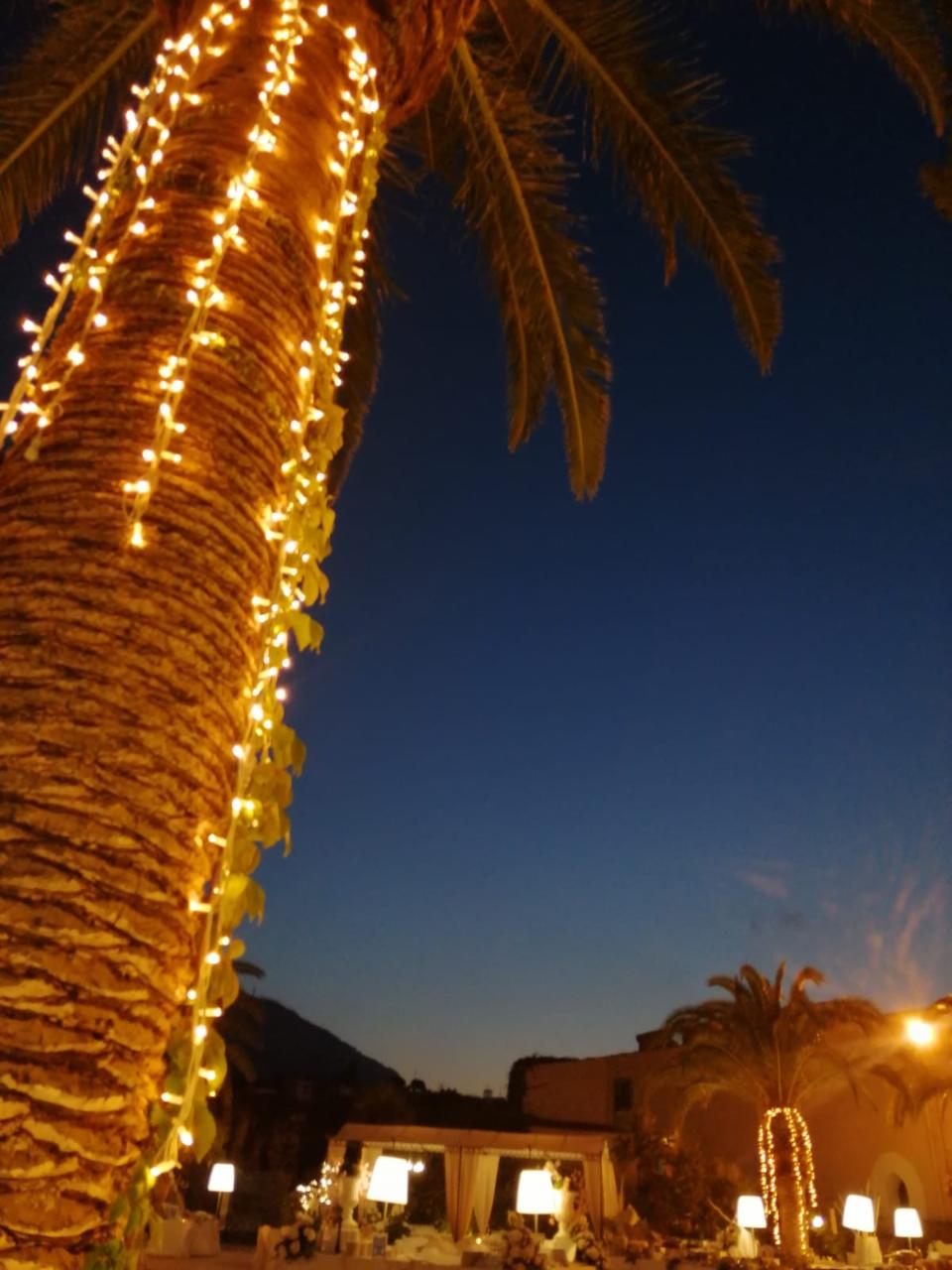 PALMA LUMINOSA LUCI PENDENTI Luminarie Matrimonio