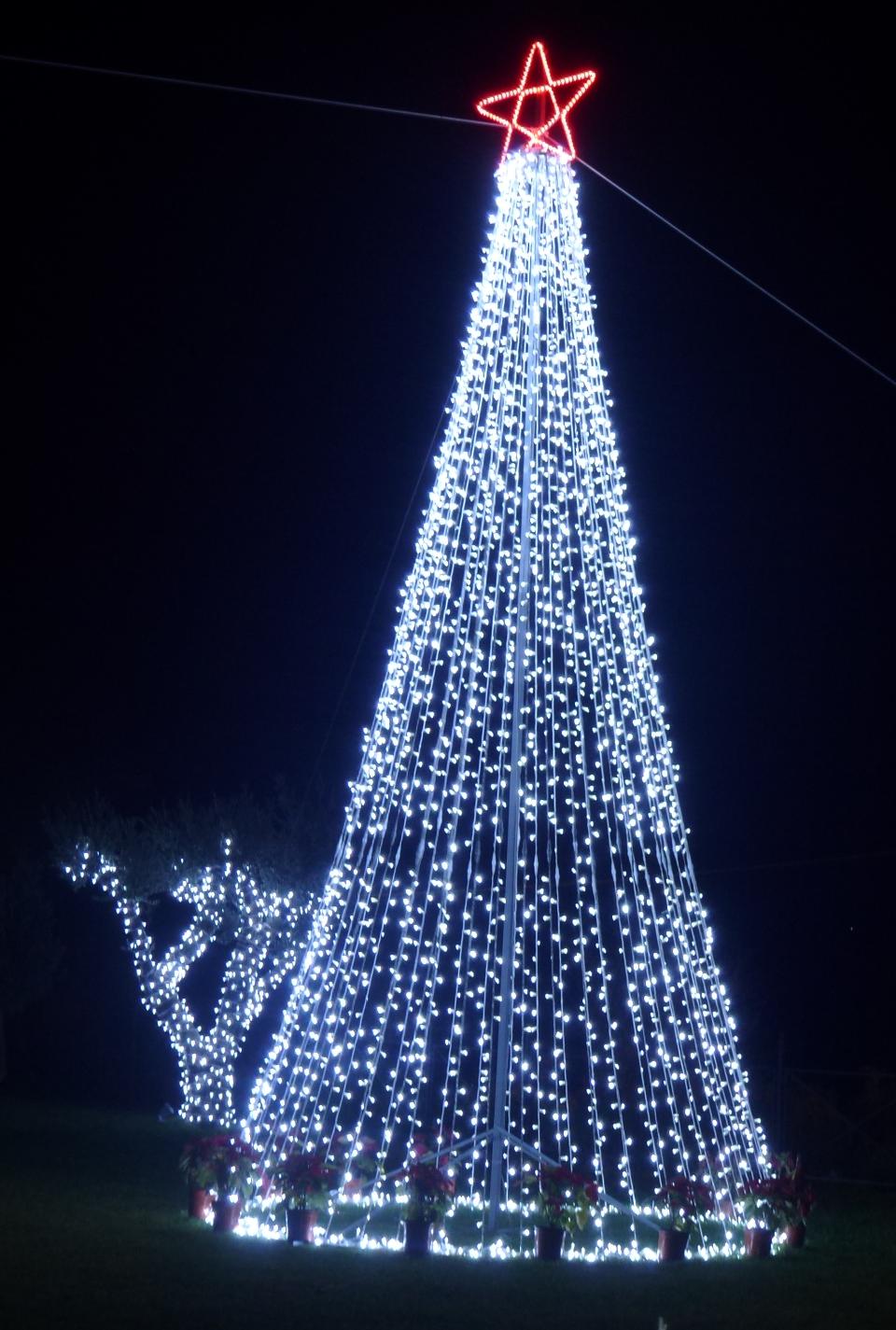 ALBERI CON STRINGHE 7 MT Luminarie Natalizie per Piazze