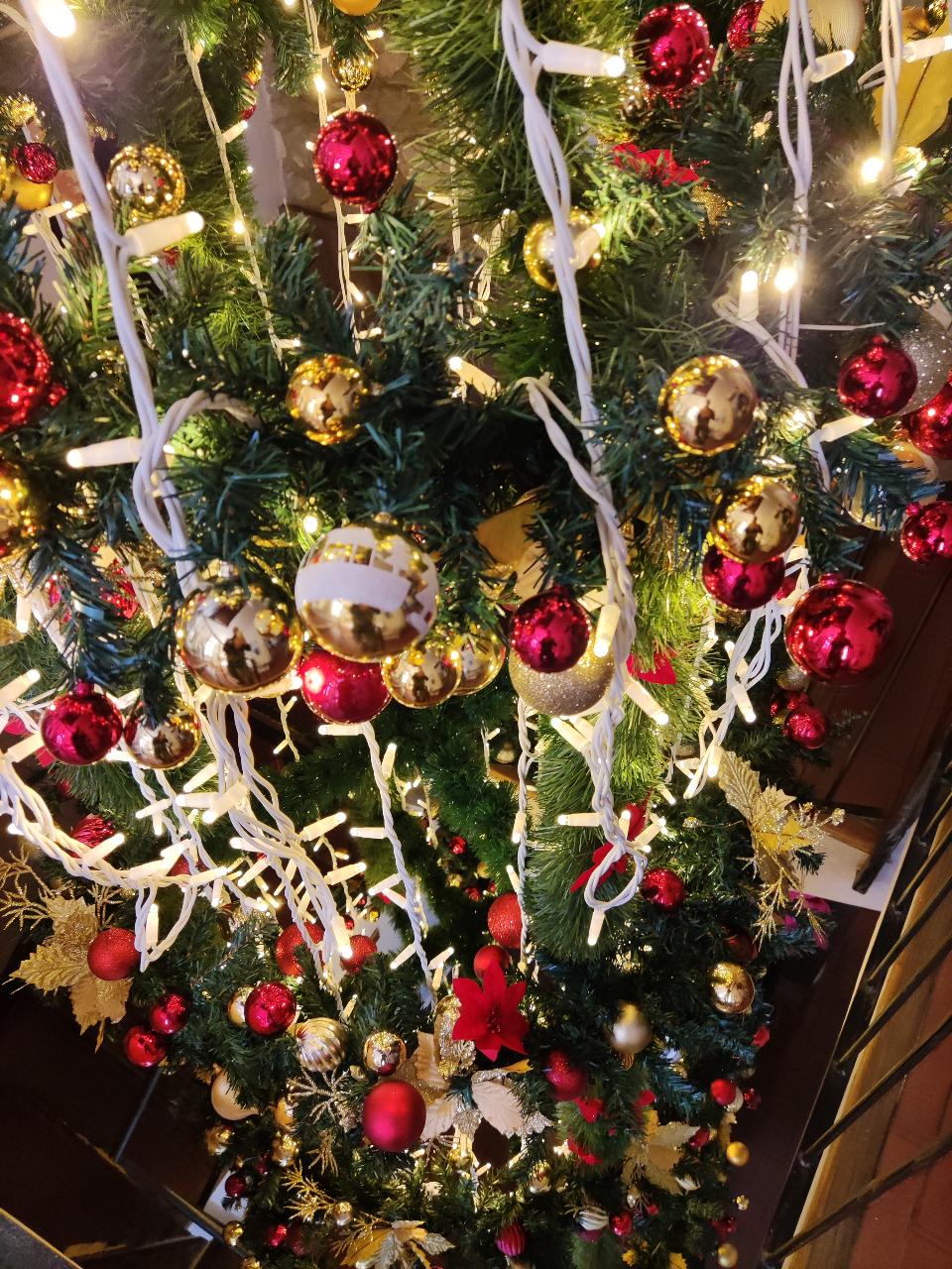 ALBERI E ADDOBBI DA INTERNO Luminarie Natalizie da Interno