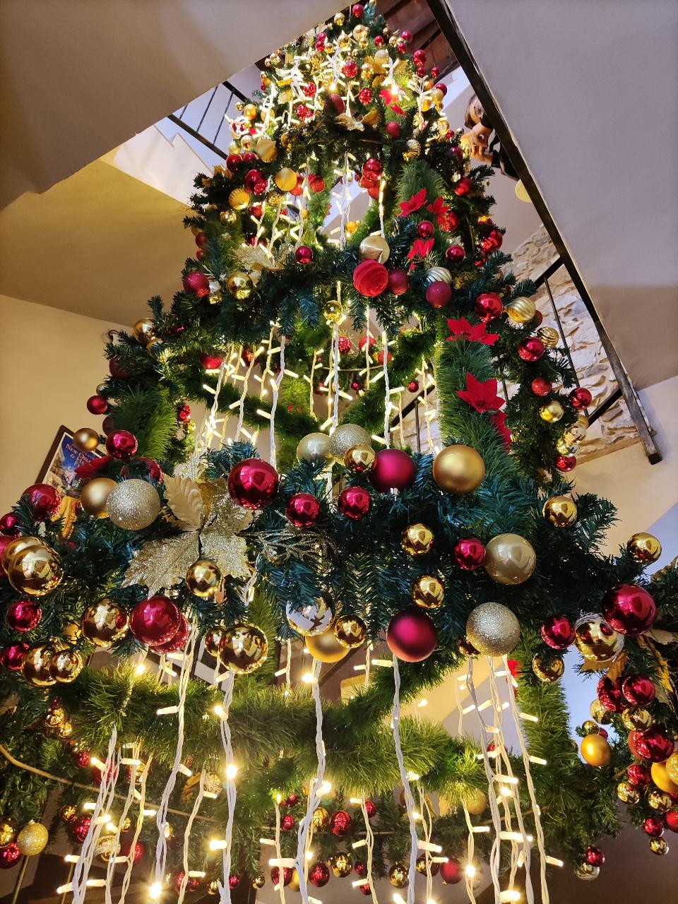 ALBERI E ADDOBBI DA INTERNO Luminarie Natalizie da Interno