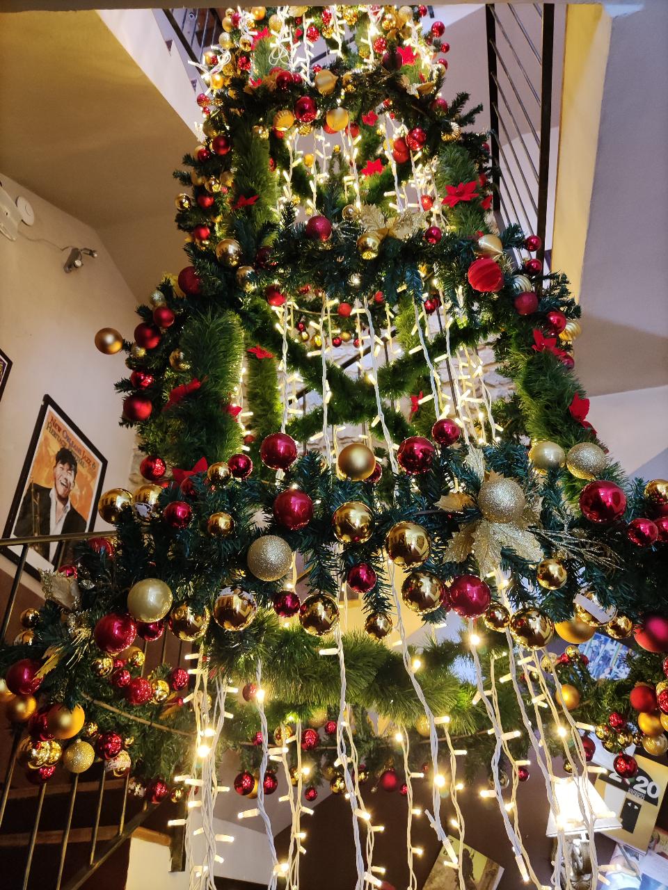 ALBERI E ADDOBBI DA INTERNO Luminarie Natalizie da Interno