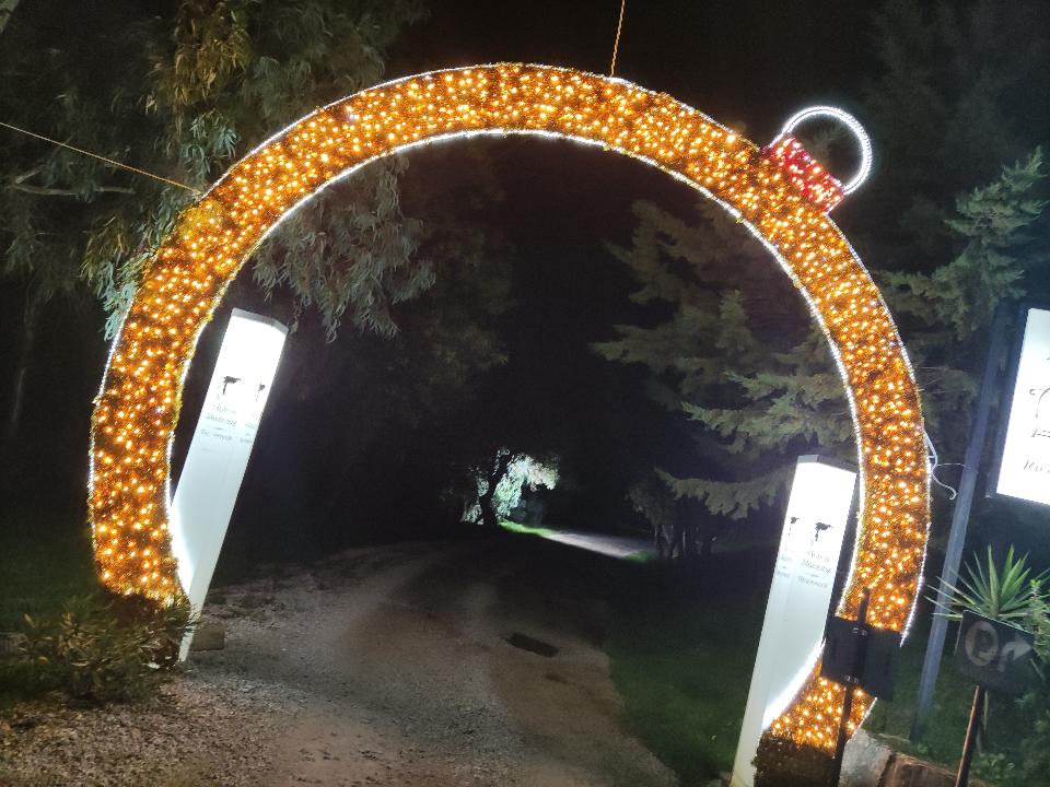 INGRESSO PALLA PIATTA Luminarie Natalizie per Piazze