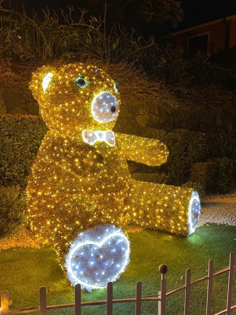 ORSO SELFIE 3D Luminarie Natalizie per Piazze