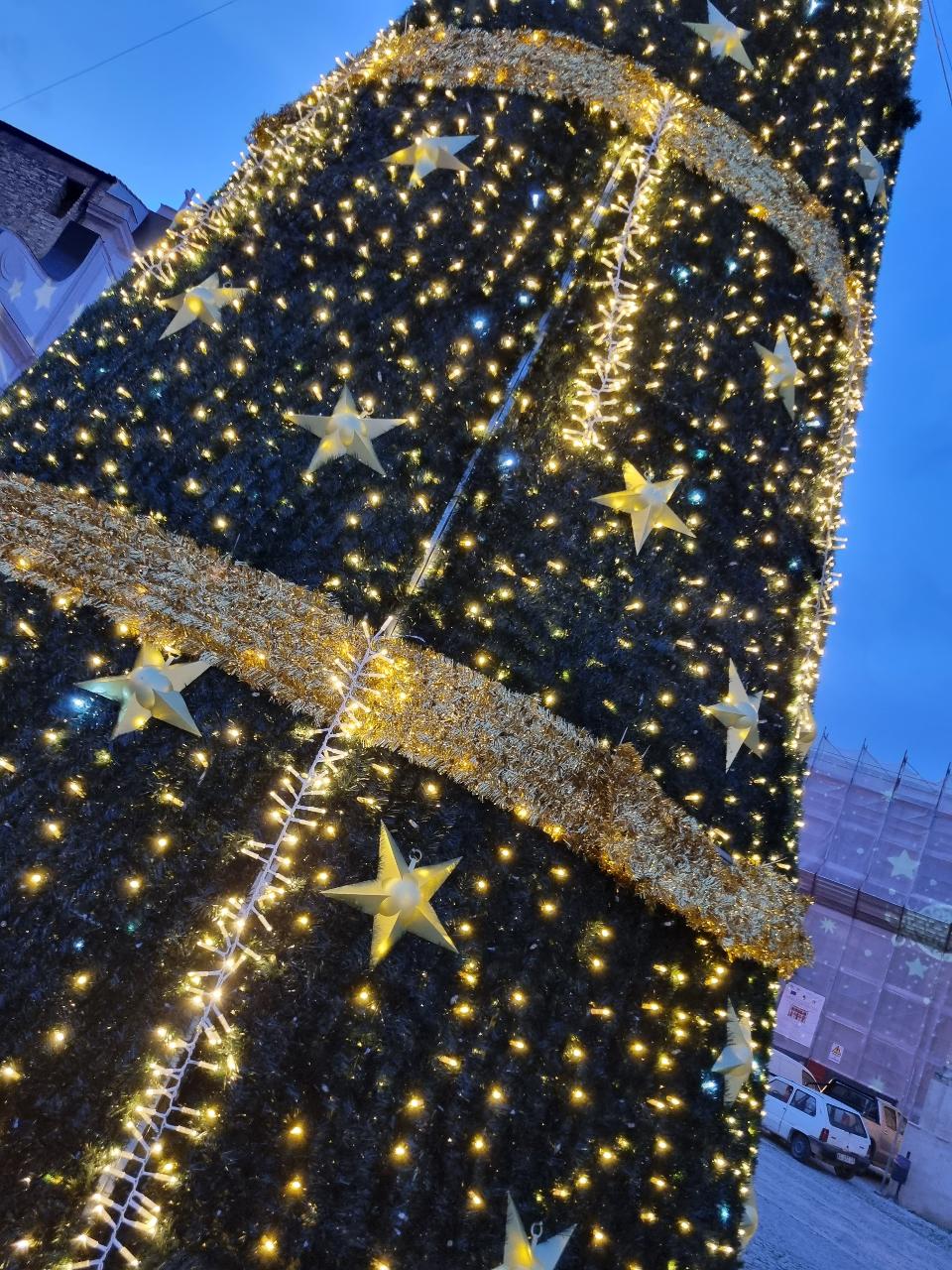 ALBERO CON CARPET VERDE E STELLE 12Mt Luminarie Natalizie per Piazze