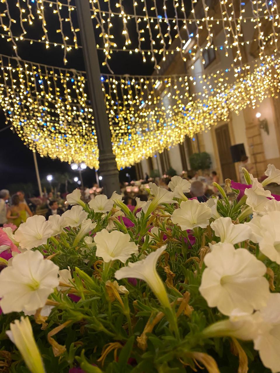 CIELO STELLATO con TENDINE ICE LIGHT TETTO DI LUCI Luminarie Matrimonio