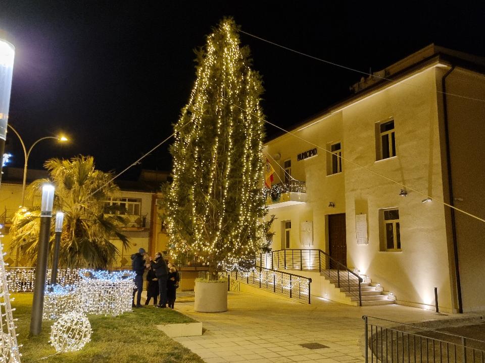 ALBERI MINILUCCIOLE PALME SIEPE Luminarie Natalizie Generico