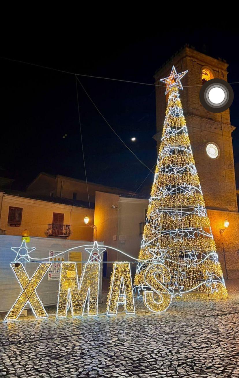 ALBERO CON GIRO STELLARE 12Mt Luminarie Natalizie per Piazze