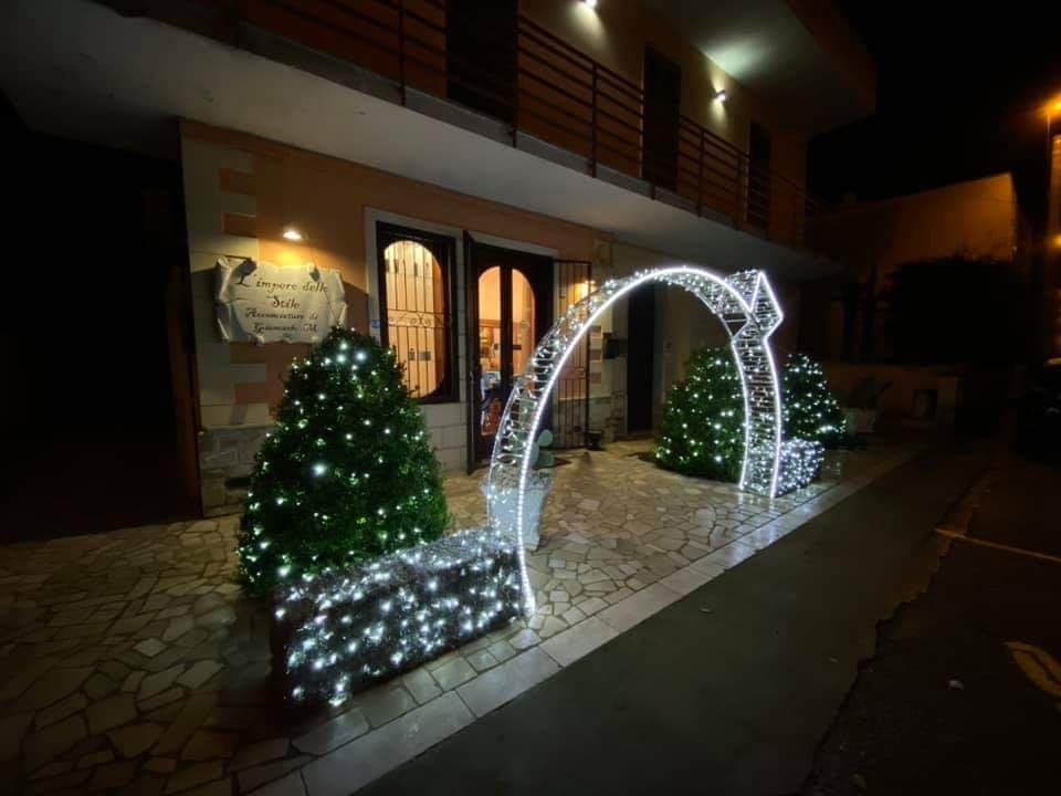 PALLA INGRESSO JINY 3D Luminarie Natalizie per Piazze