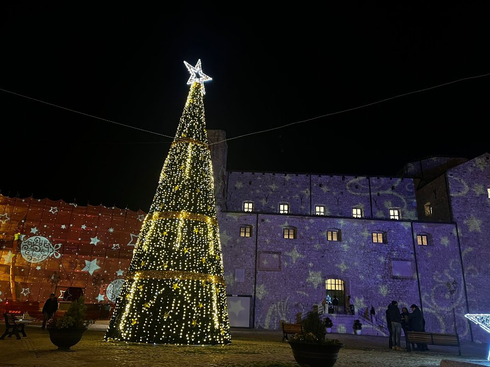 ALBERO CARPET VERDE E STELLE 3D 10 Mt Luminarie Natalizie per Piazze