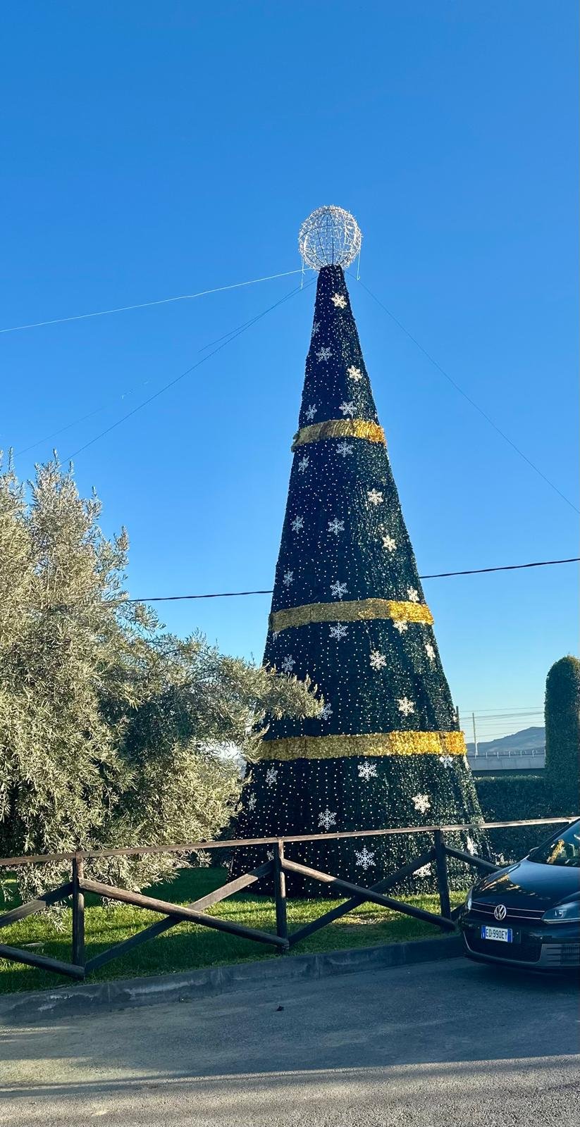 ALBERO CARPET VERDE E FIOCCHI 3D 12 Mt Luminarie Natalizie per Piazze