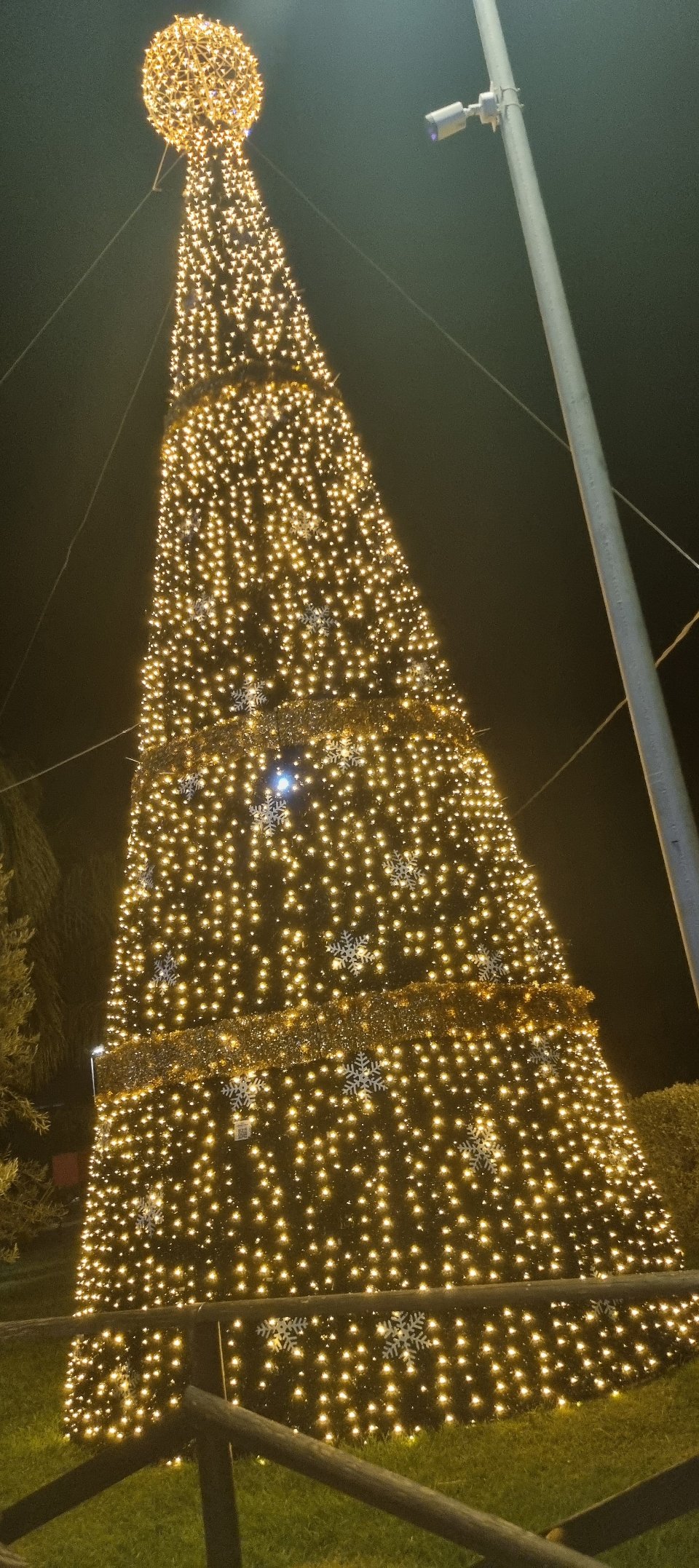 ALBERO CARPET VERDE E STELLE 3D 10 Mt Luminarie Natalizie per Piazze