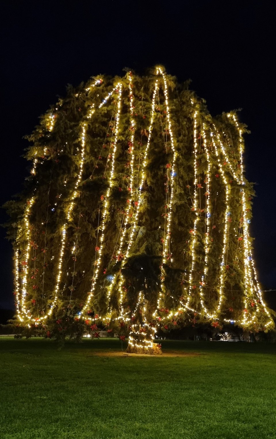 ALBERI MINILUCCIOLE PALME SIEPE Luminarie Natalizie Generico