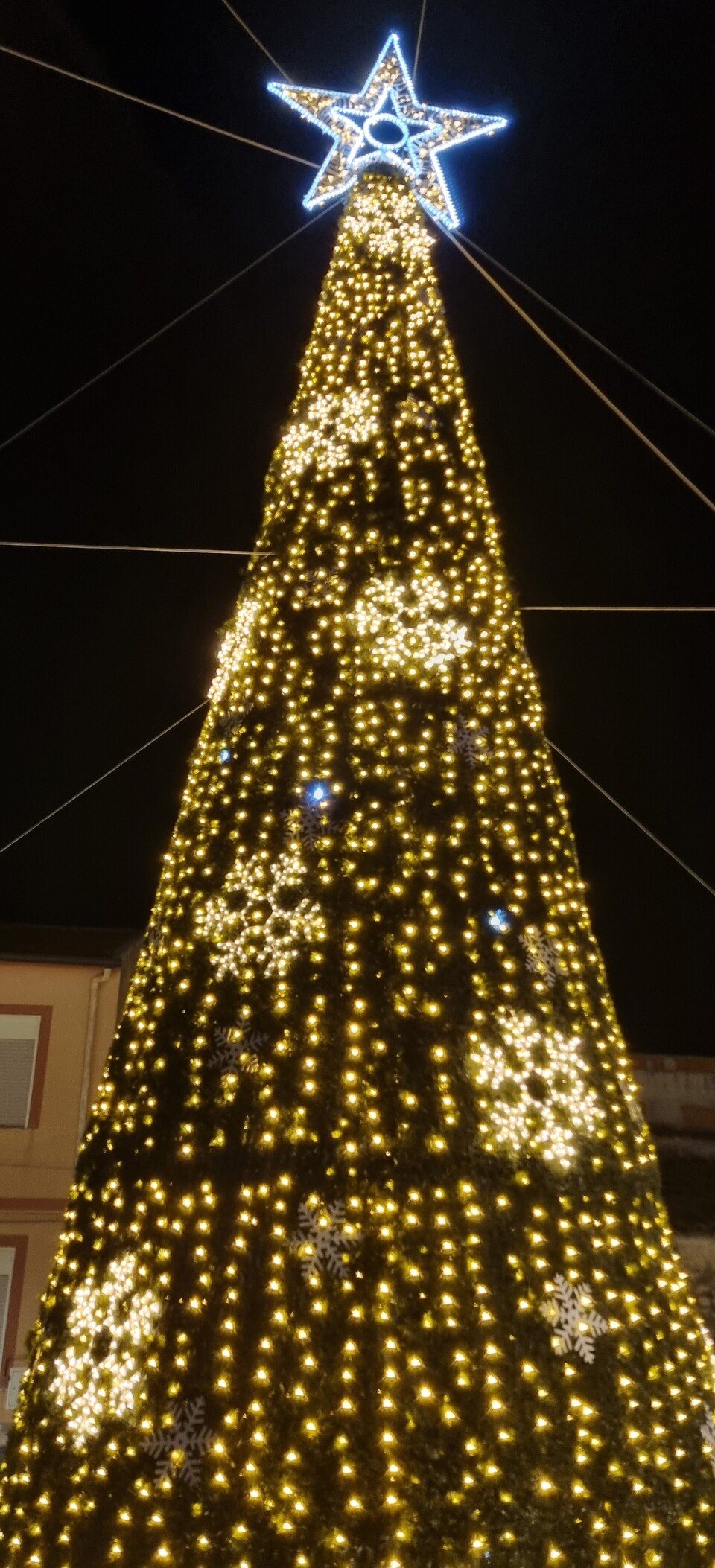 ALBERO CARPET VERDE con Fiocchi Light 10 Mt Luminarie Natalizie per Piazze