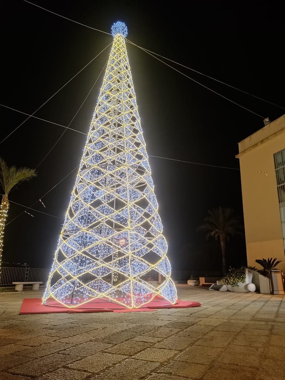 ALBERO A ROMBI 12Mt Luminarie Natalizie per Piazze