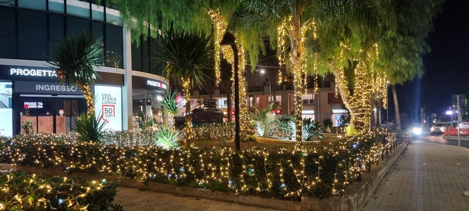 ALBERI MINILUCCIOLE PALME SIEPE Luminarie Natalizie Generico