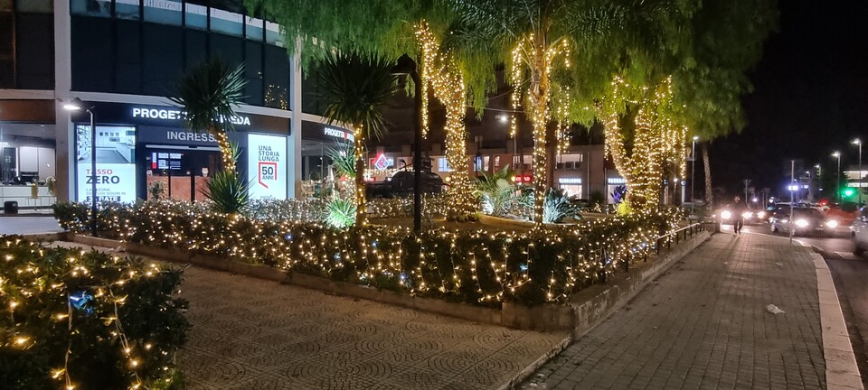 ALBERI MINILUCCIOLE PALME SIEPE Luminarie Natalizie Generico