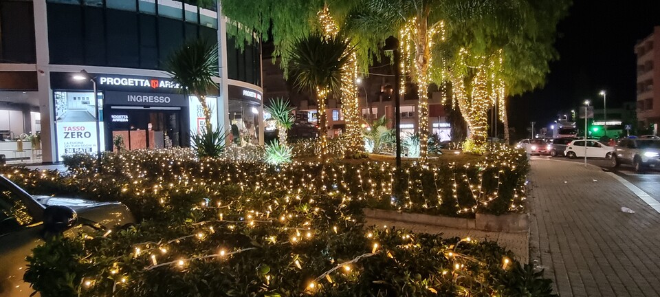 ALBERI MINILUCCIOLE PALME SIEPE Luminarie Natalizie Generico