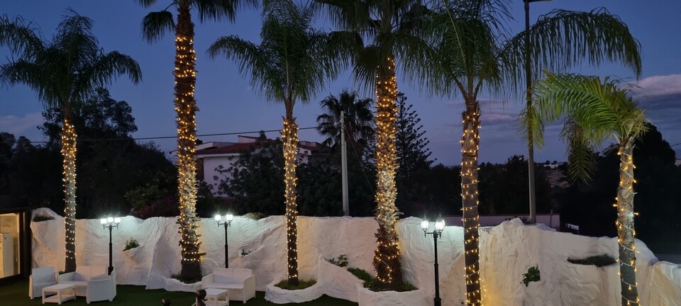 ALBERI MINILUCCIOLE PALME SIEPE Luminarie Natalizie Generico