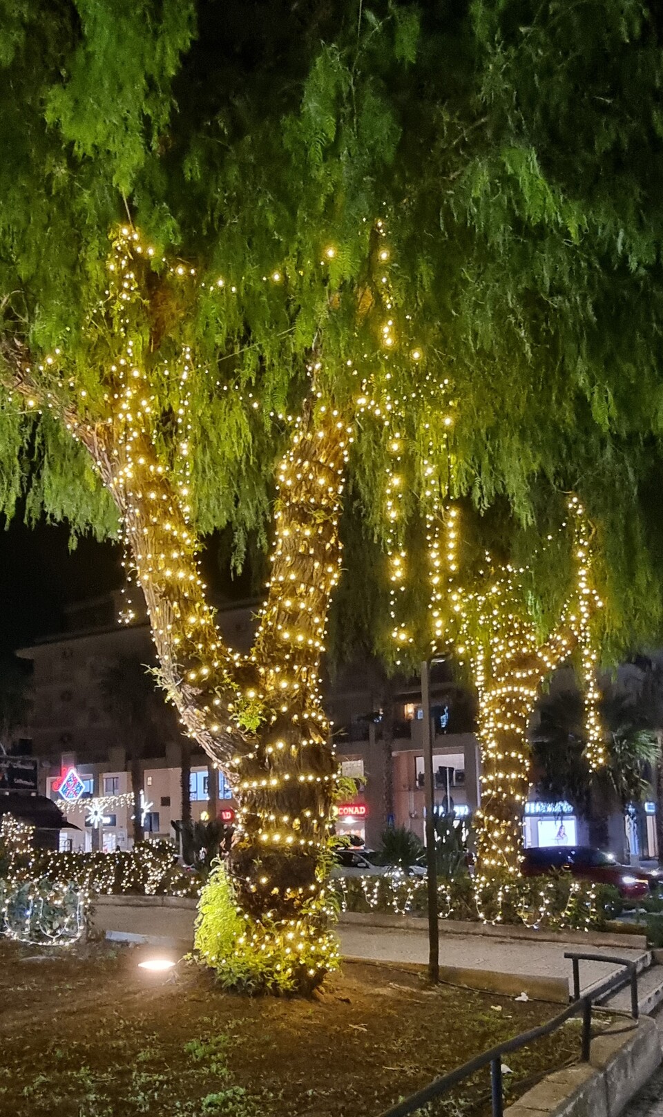 ALBERI MINILUCCIOLE PALME SIEPE Luminarie Natalizie Generico