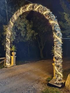 GHIRLANDA CON LUCI INGRESSO Luminarie Natalizie per Piazze