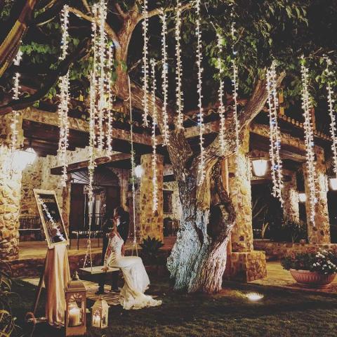 PALMA LUMINOSA LUCI PENDENTI Luminarie Matrimonio